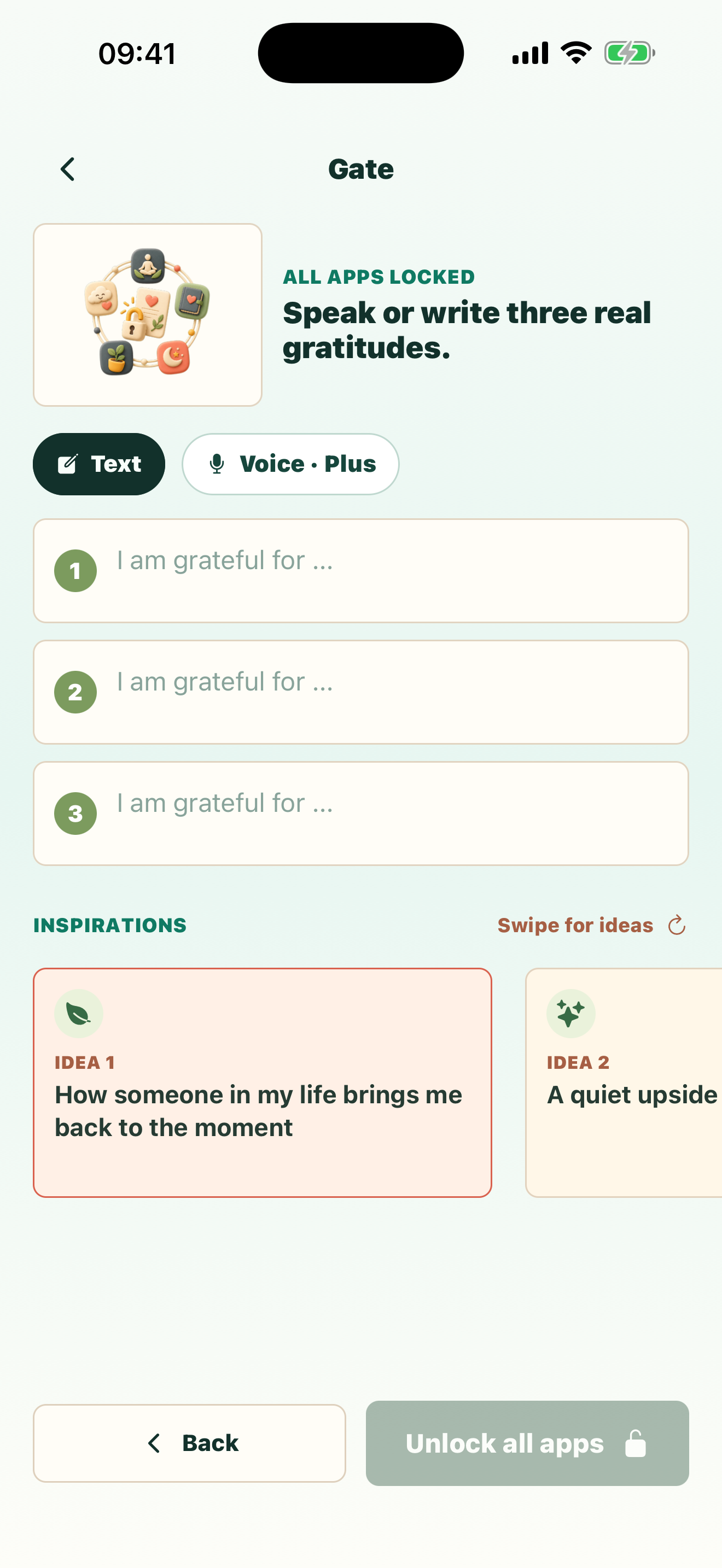 GrateGuard gate asking for three gratitudes